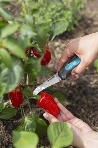 Gardena Szüretelő kés (ömlesztett)