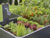 Gardena Micro-Drip-System indulókészlet magaságyásokhoz, automatic