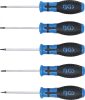 BGS technic Csavarhúzó készlet | T-profil (Torx) furattal | T6 - T10 | 5 darabos (BGS 6826)