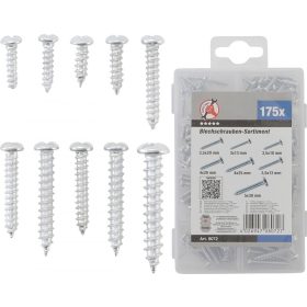 Kraftmann Lemezcsavar készlet 175 részes (BGS 8072)
