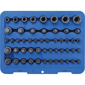   BGS technic Bitfej és dugókulcsfej készlet | E-profil / T-profil (Torx) / T-profil (Torx) furattal / TP-profil (Torx plus) | 52 darabos (BGS 9839)
